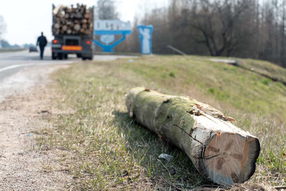 stray log on side of road after falling off logging truck pictured in the distance